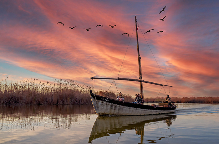 La Albufera la cuna del arroz